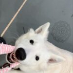 微信图片_20250612161220