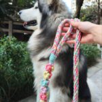 微信图片_20250612162007